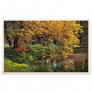 Virginia Fall Foliage Postcard